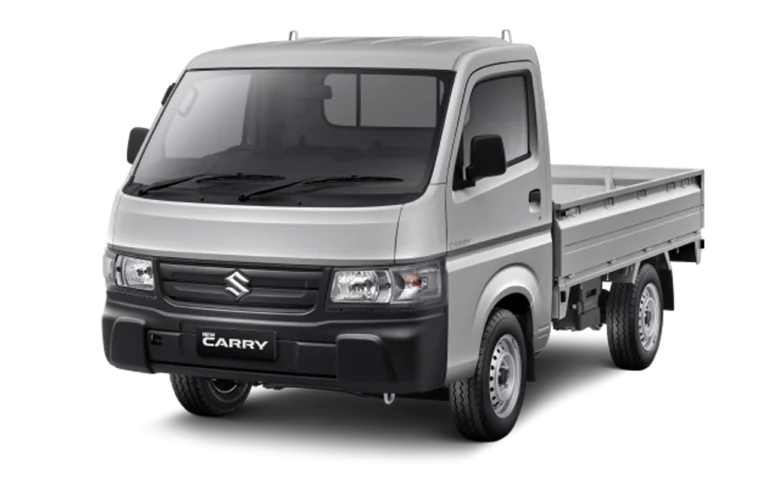 Silky-Silver-NEW_CARRY_PICK-UP